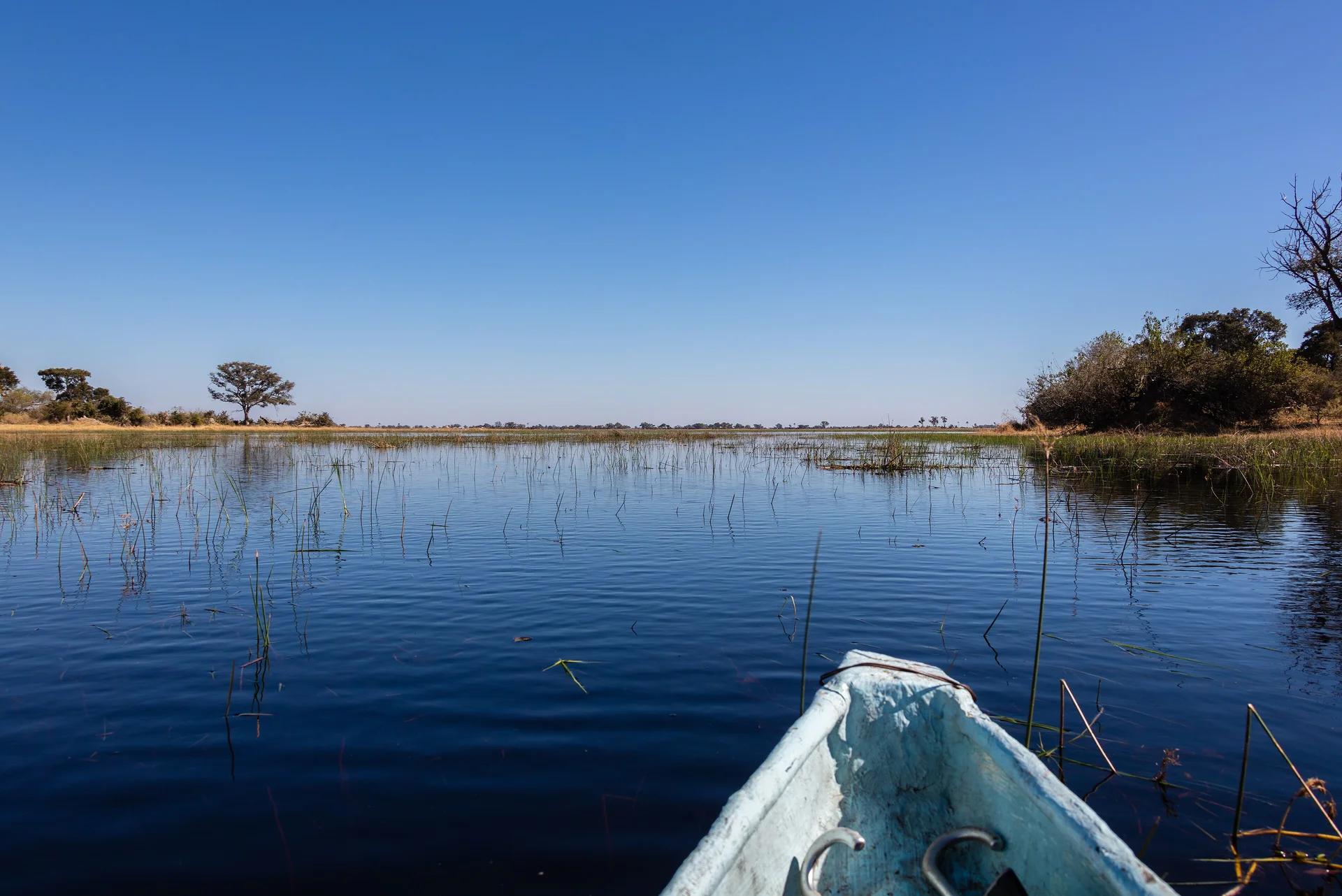 Okavango waterway viewed from the bow of a mokoro